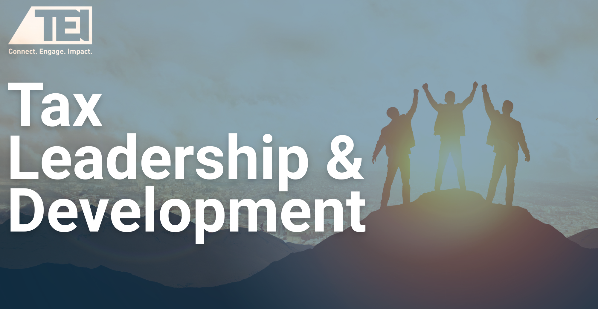 Tax Leadership and Development