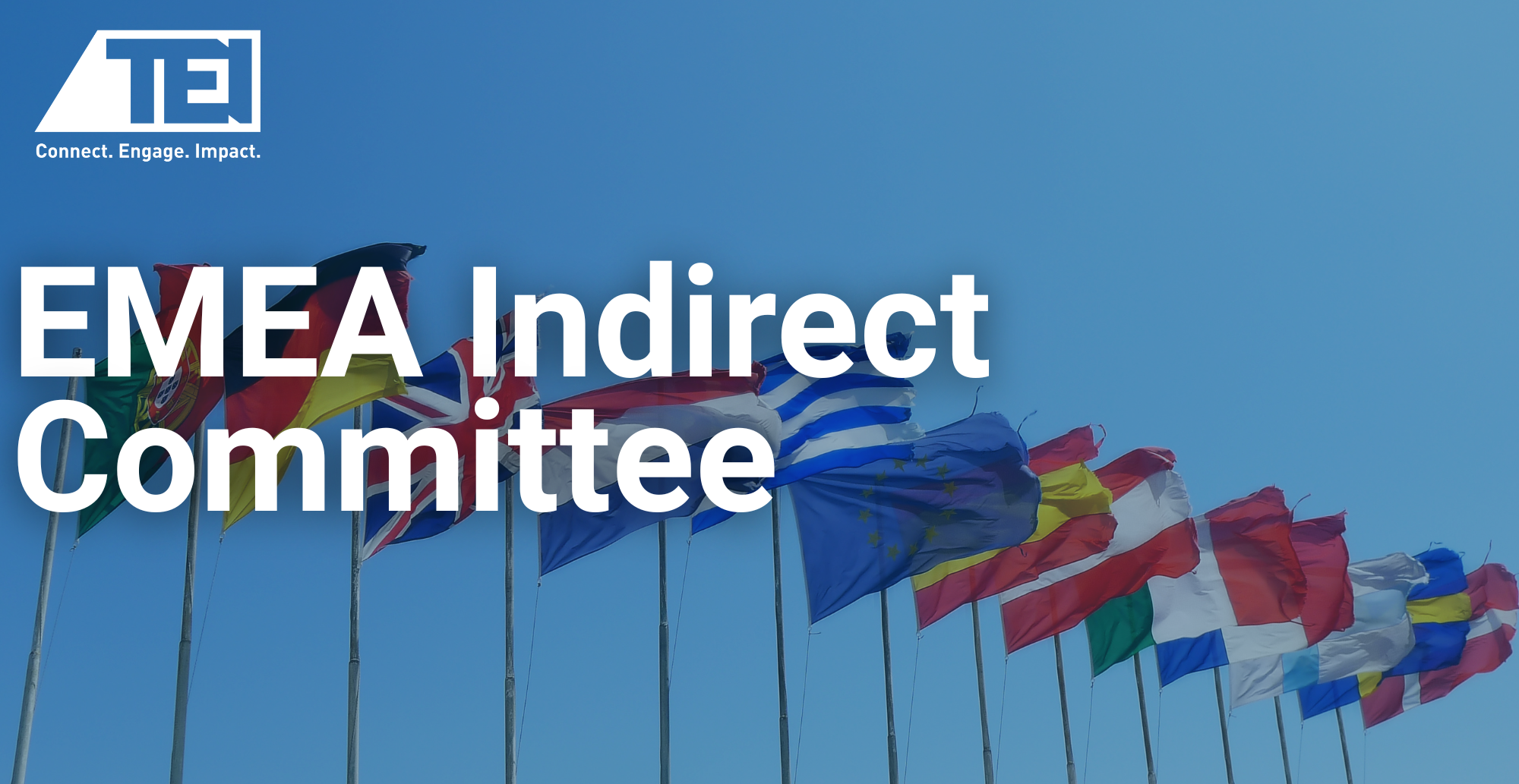 EMEA Indirect Tax & Customs Committee | Tax Executives Institute, Inc.