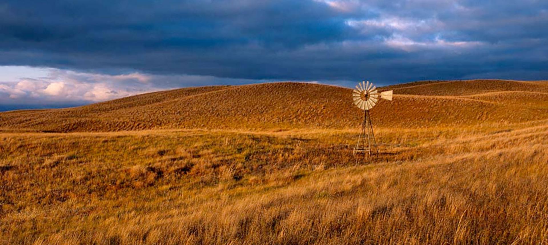 Nebraska Chapter Homepage | Tax Executives Institute, Inc.